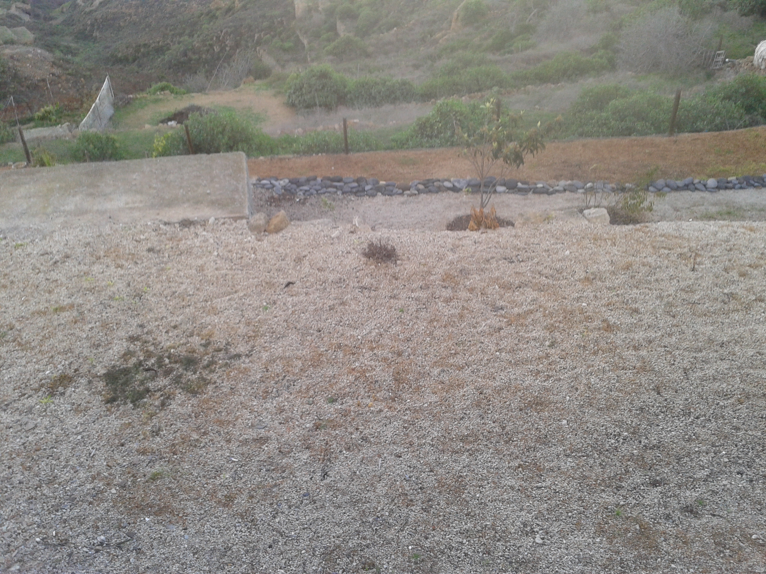 2012112708.35.40.jpg 2012112708.35.40.jpg